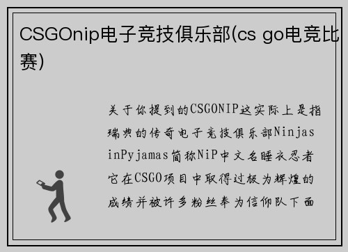 CSGOnip电子竞技俱乐部(cs go电竞比赛)
